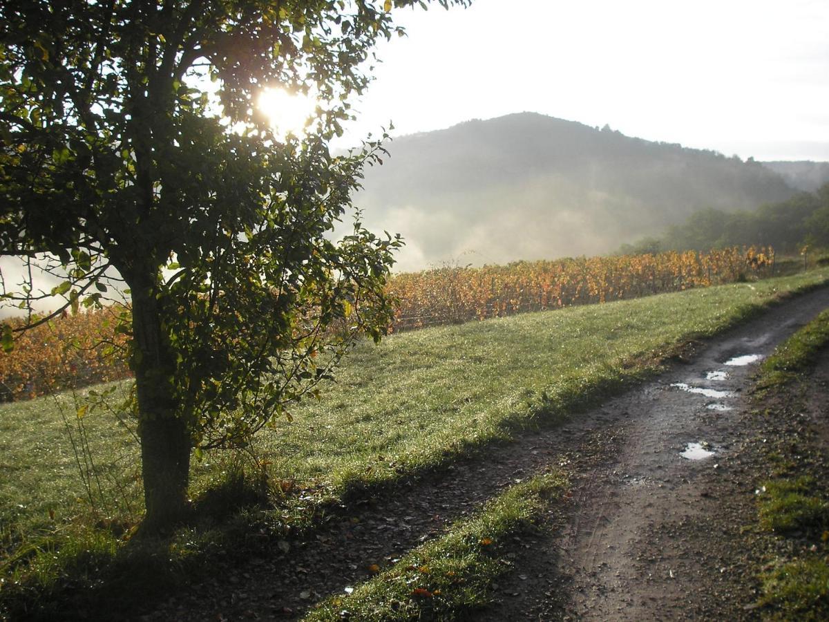 Maison Isolee Dans Les Vignes Et Les Bois Valady Exterior foto