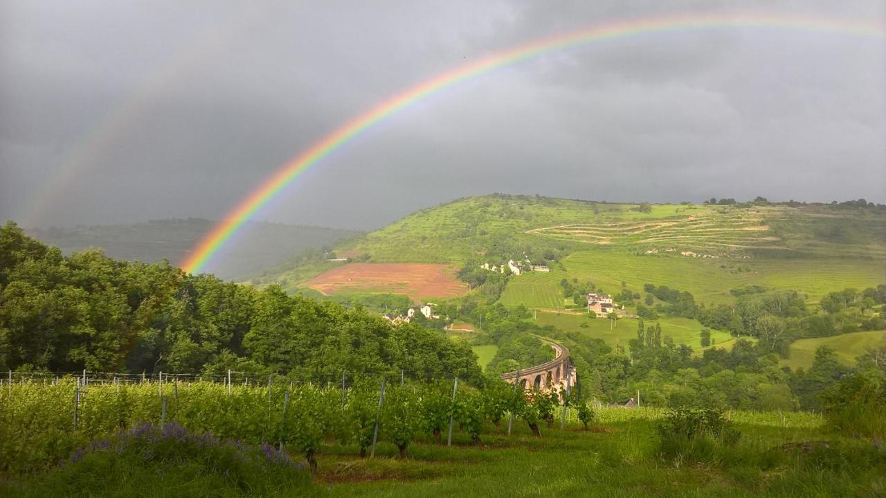 Maison Isolee Dans Les Vignes Et Les Bois Valady Exterior foto